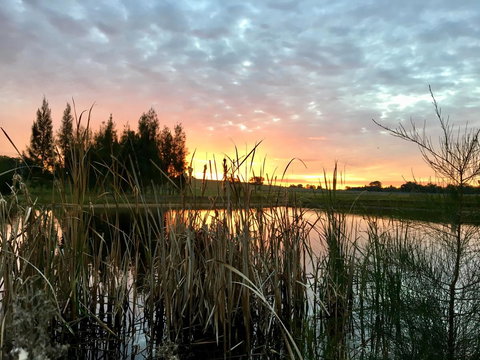 Madigan Wine Country Cottages - Accommodation Europe 14