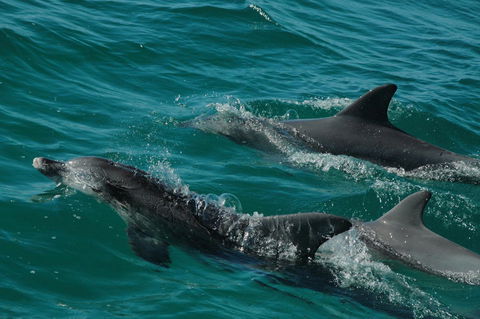 Jervis Bay Vista - Events Australia 18