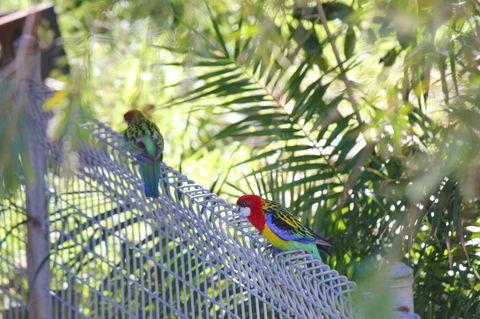 Marty's @ Little Beach - Events Australia 27