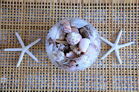Relaxed Beachside Living - Tourism Bookings 9