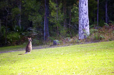 Jackson Ranch By Bannisters - Events Australia 31