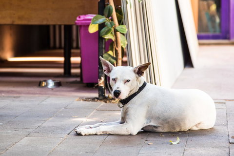 Jump Inn Alice Budget Accommodation - Events Australia 43