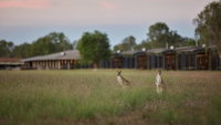 Book Point Stuart Accommodation Vacations Tourism Bookings Tourism Bookings