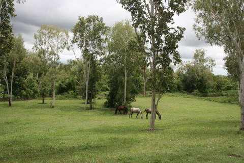 Mount Bundy Station - Tourism Bookings 25