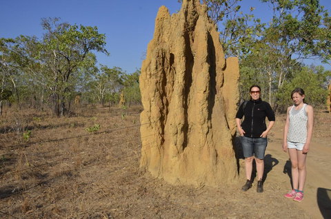 Mount Bundy Station - Tourism Bookings 44