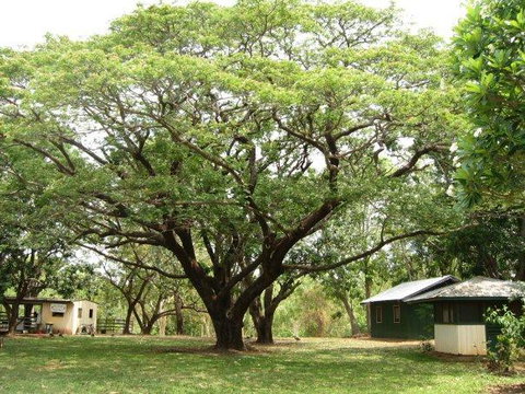 Mount Bundy Station - Tourism Bookings 26