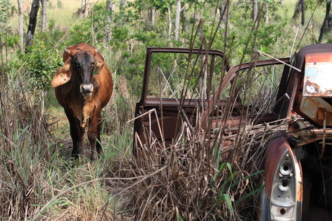 Mount Bundy Station - Tourism Bookings 42