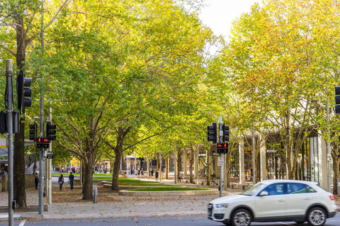 Highgate Executive Apartment City Walk Canberra - Tourism Bookings 37