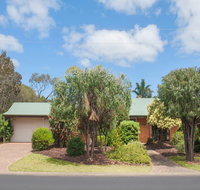 Bottlebrush