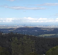 Bottletree Gardens - Mini Manson Blue - Events Australia