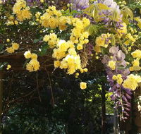 Bowral Road Bed and Breakfast - Events Australia