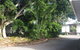 Bushchooks Travellers Village - thumb 2