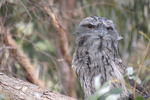 Butterworth Accommodation - Events Australia 1