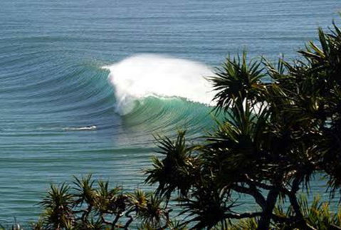 Cabarita Studio - Tourism Bookings 0
