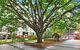 Canberra Luxury Apartment 8 - thumb 1