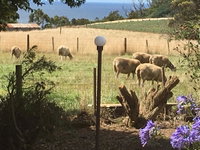 Book Table Cape Accommodation Vacations Tourism Bookings Tourism Bookings