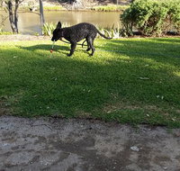 Captain's Cottage Bed  Breakfast - Events Australia