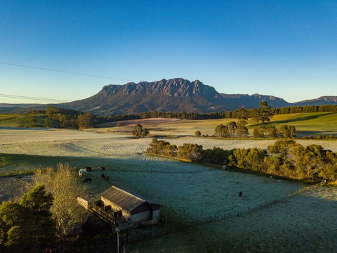 Carinya Farm Holiday Retreat - Events Australia 0