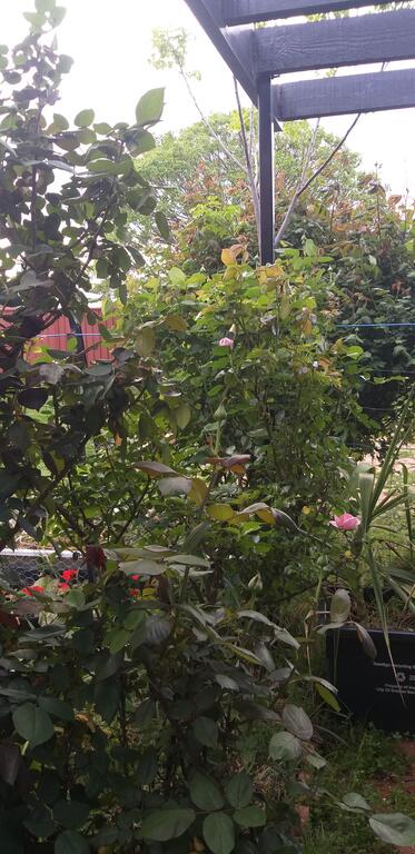 CBD Home Rinaldi's - Events Australia 1