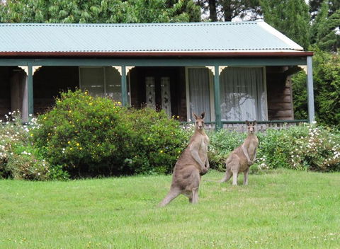 Cedar Lodge Cabins - Tourism Bookings 0