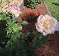 Central Tranquility - Events Australia