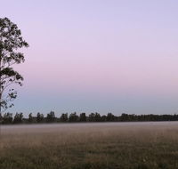 Charlotte Tiny House - Tourism Bookings