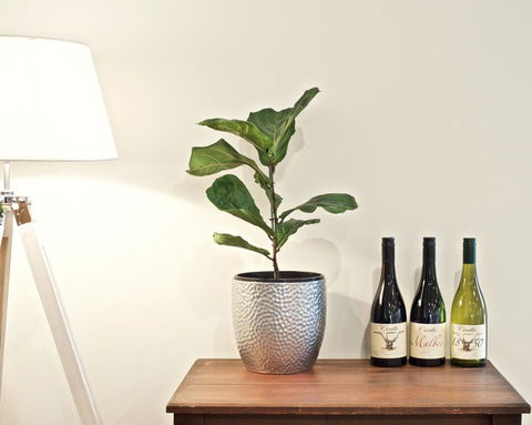 Cirillo Guest House - Events Australia 2