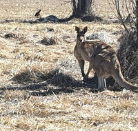 Clansman Motel - Events Australia