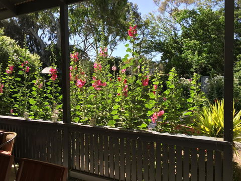 Clarevale Cottage B&B - Events Australia 1