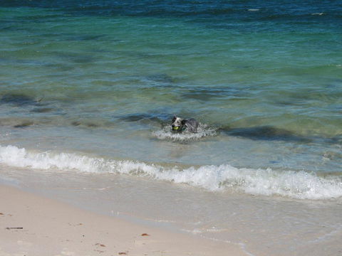 Close To The Myall River - Pet Welcome - Events Australia 3