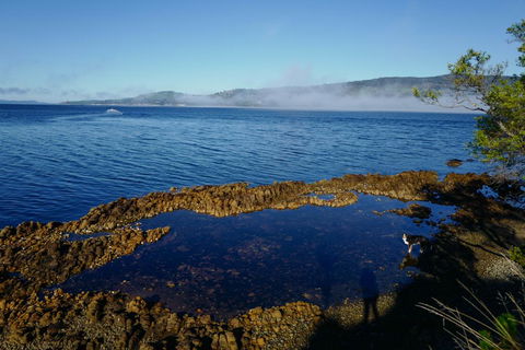 Coast House Tasmania - Events Australia 2