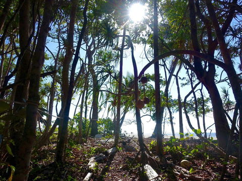 Coconut Beach House - Events Australia 2