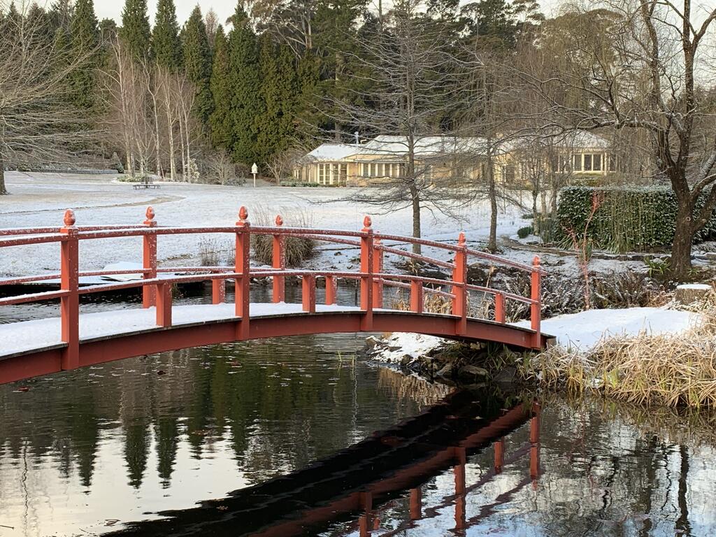 Mount Wilson NSW Events Australia