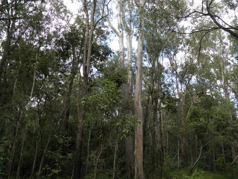 Coucals Cottage - Events Australia 3