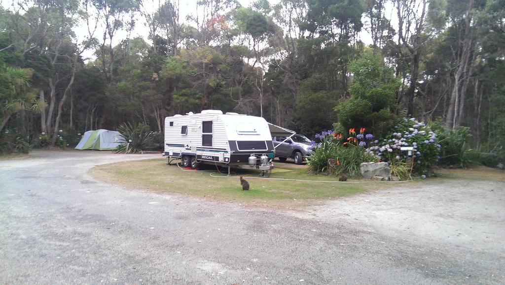 Crayfish Creek TAS Events Australia