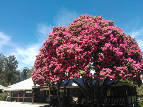 Crossways Country Inn - Tourism Bookings 0