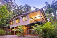 Daintree Magic