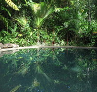 Daintree Rainforest Retreat Motel - Tourism Bookings