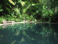 Daintree Rainforest Retreat Motel