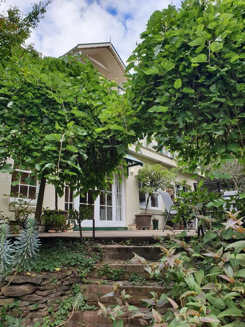 Davaar Hideaway Leura - Tourism Bookings 0