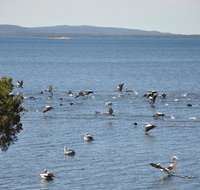 Denmark Waters BB - Events Australia