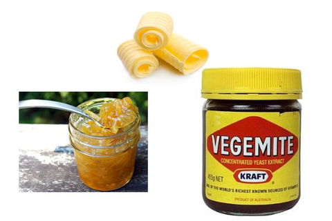 Dolphin Retreat Bunbury YHA - Events Australia 2