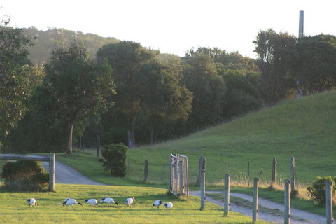 Driftwood Villas - Events Australia 1