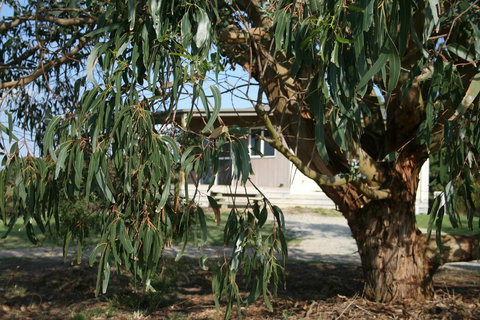 Driftwood Villas - Events Australia 3