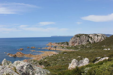 Eagle's Roost Farmstay B&B - Events Australia 3