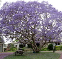 Ecotel Narooma - Events Australia