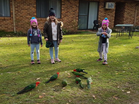 Eildon Parkview Motor Inn - Tourism Bookings 1