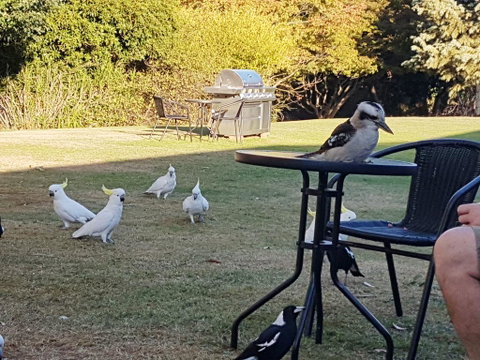 Eildon Parkview Motor Inn - Tourism Bookings 0