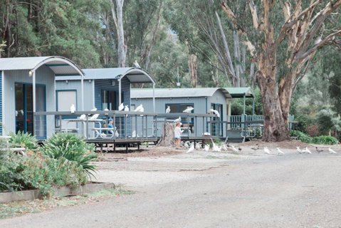 Eildon Pondage Holiday Park - Tourism Bookings 3
