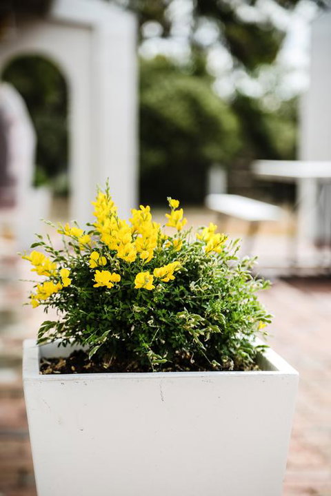 Esperance Coastal Retreat - Events Australia 3